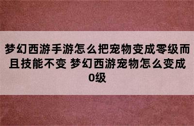 梦幻西游手游怎么把宠物变成零级而且技能不变 梦幻西游宠物怎么变成0级